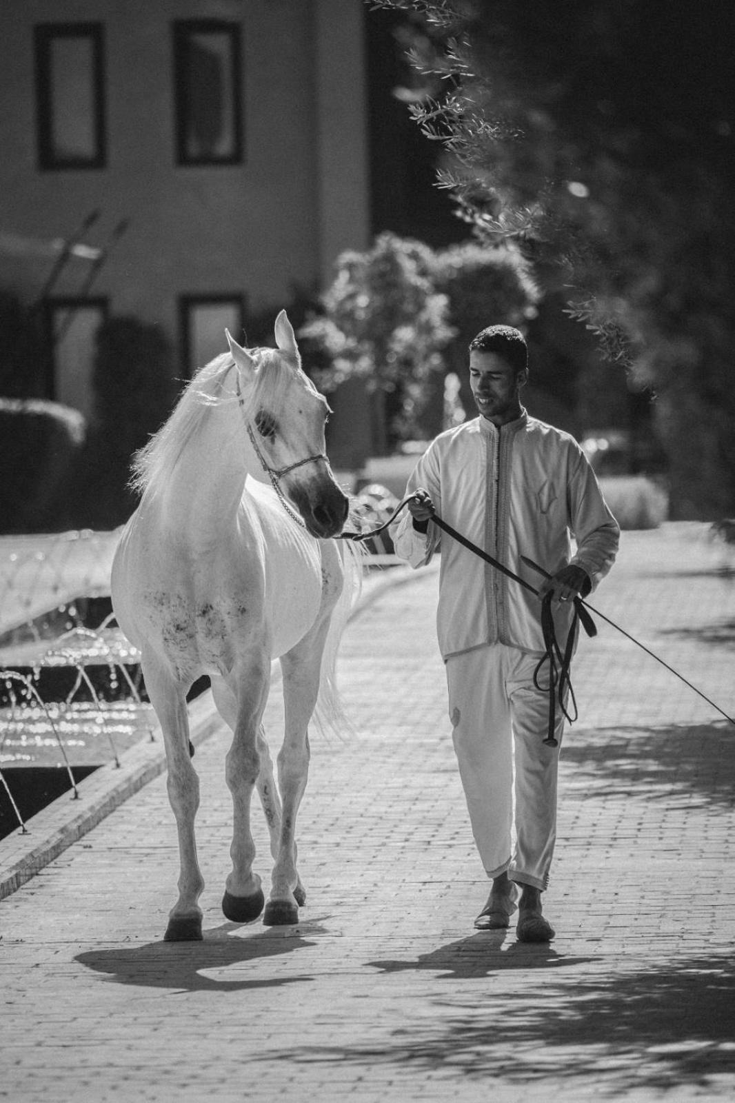 Отель Selman Marrakech El Makina Экстерьер фото